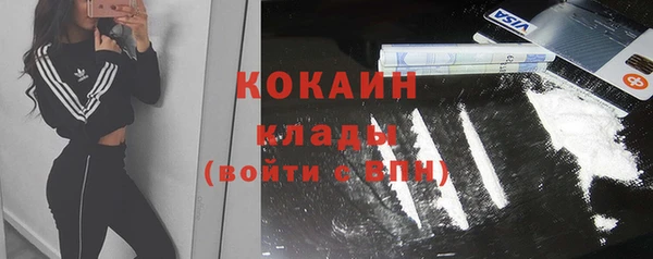 стаф Балахна