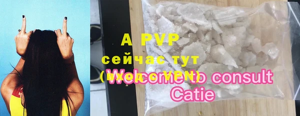 стаф Балахна