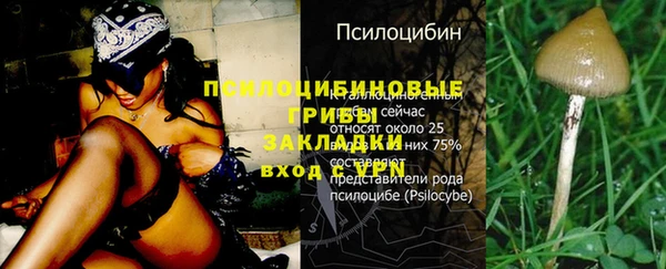 прущий лед Балабаново